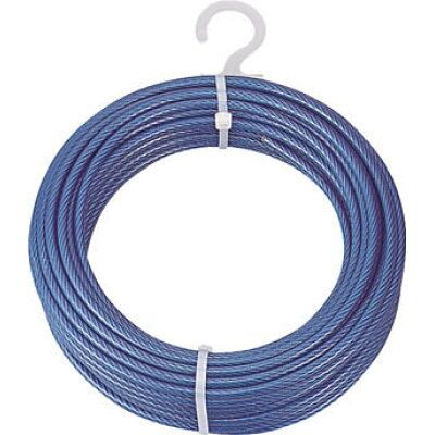 【楽天市場】トラスコ中山 TRUSCO メッキ付ワイヤーロープ PVC被覆タイプ Φ4（6）mmX10m | 価格比較 - 商品価格ナビ